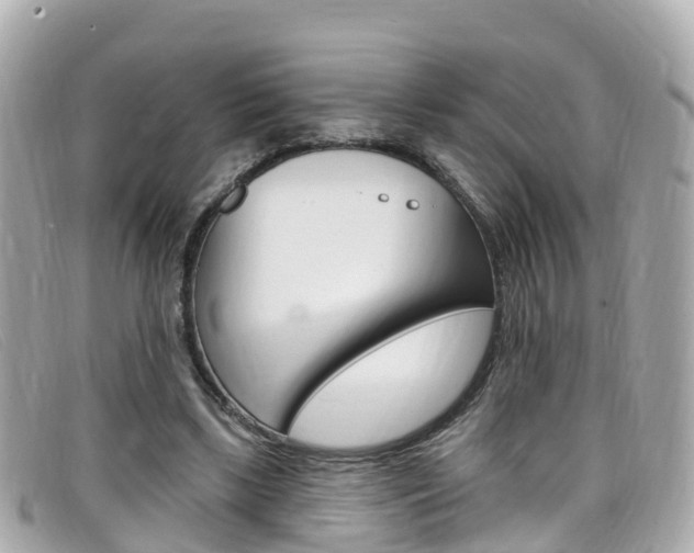 X0000099320443200805020756