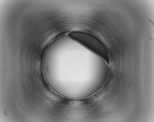 X0000099320444200805020756