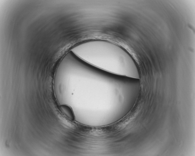 X0000099320445200805020756