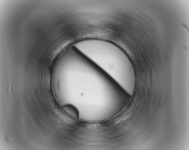 X0000099320446200805020756