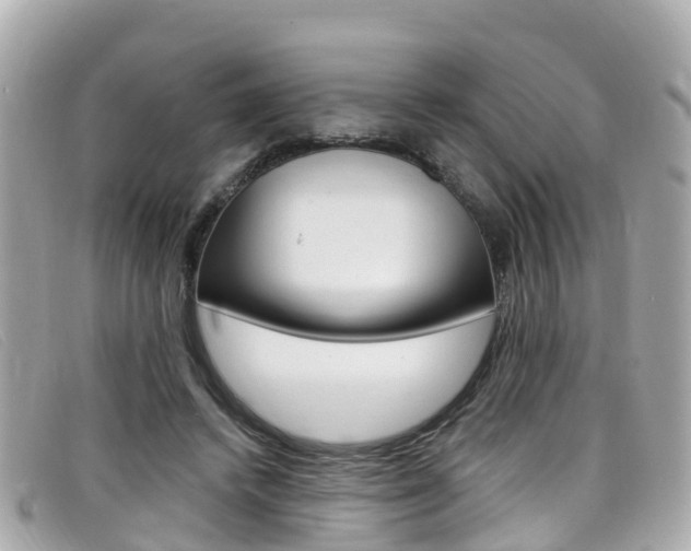 X0000099320448200805020756