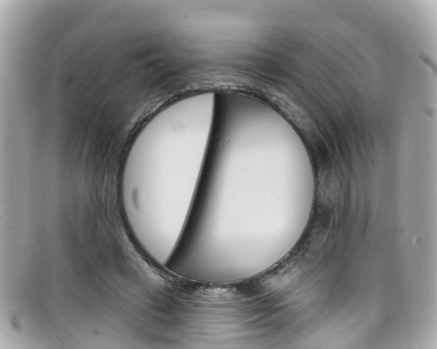 X0000099320449200805020756