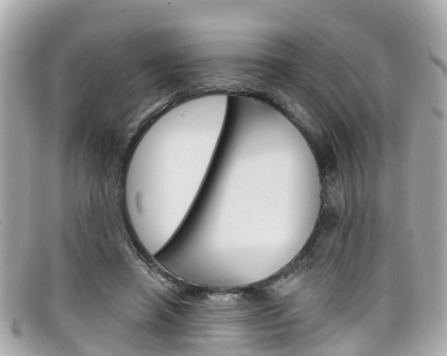 X0000099320450200805020756