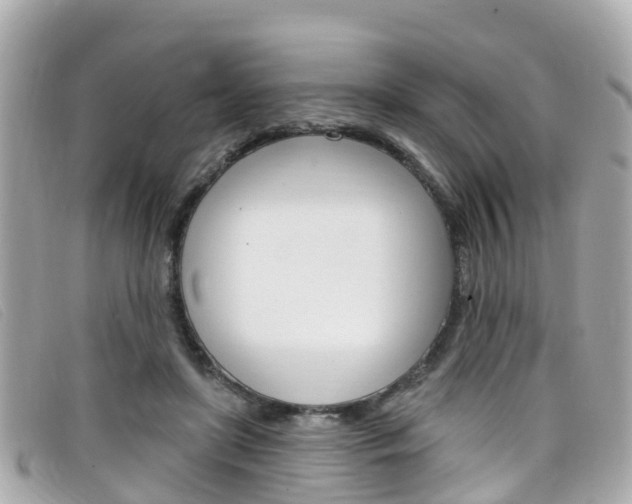 X0000099320451200805020756