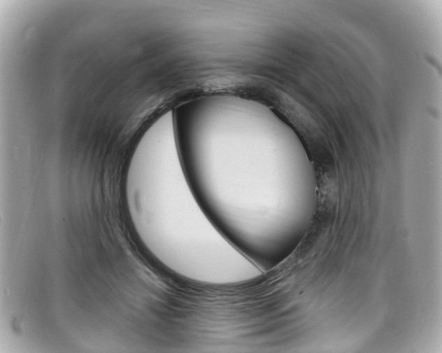 X0000099320452200805020756