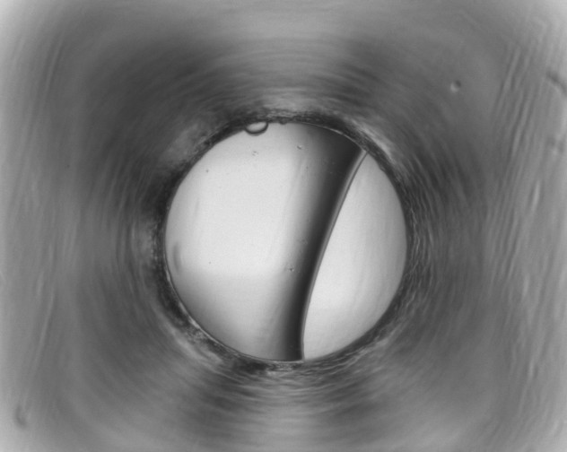X0000099320455200805020757