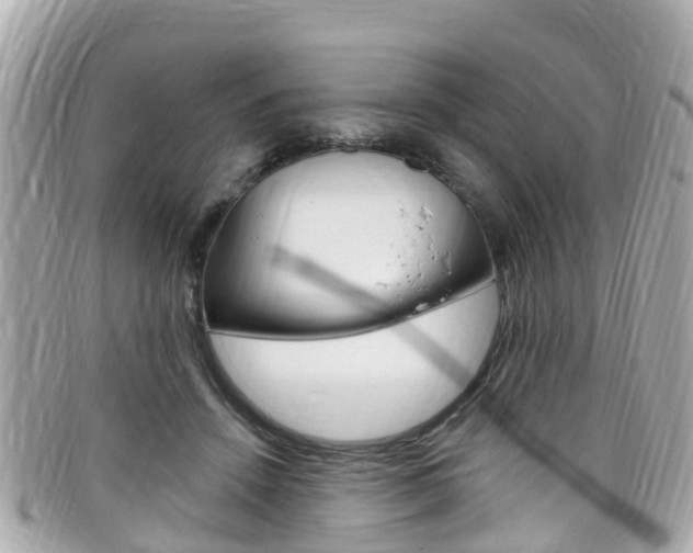 X0000099320456200805020757