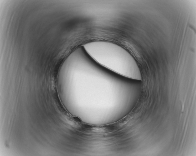 X0000099320457200805020757