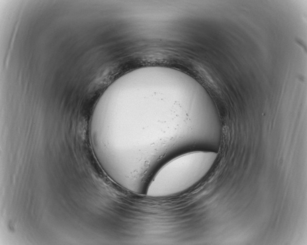 X0000099320458200805020757