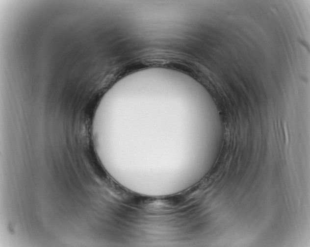 X0000099320460200805020757