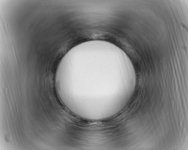 X0000099320461200805020757