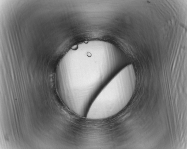 X0000099320462200805020757