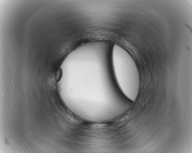 X0000099320465200805020757