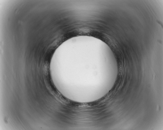 X0000099320468200805020757