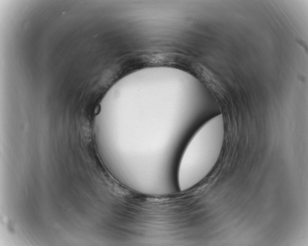X0000099320469200805020757