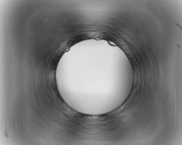 X0000099320473200805020757
