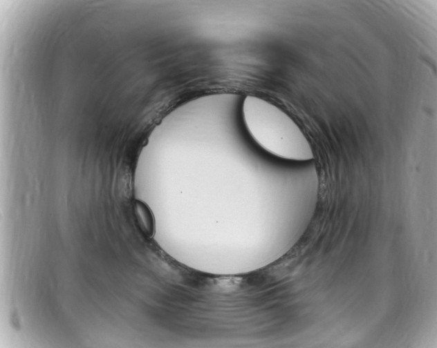 X0000099320474200805020757