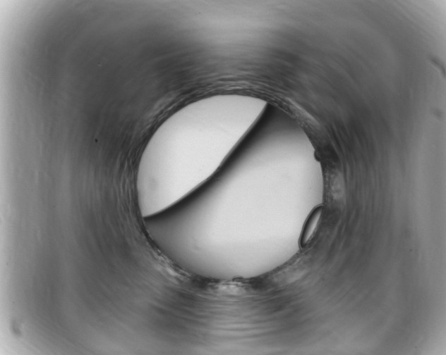 X0000099320475200805020757