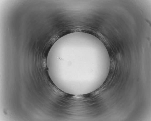 X0000099320477200805020757