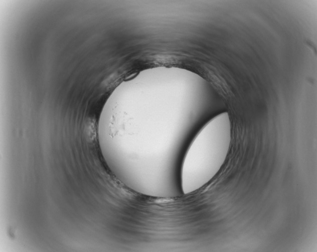 X0000099320478200805020757