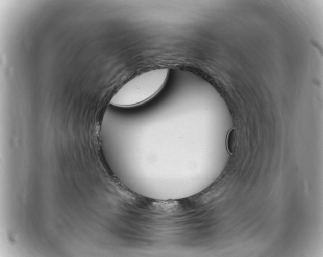 X0000099320480200805020757