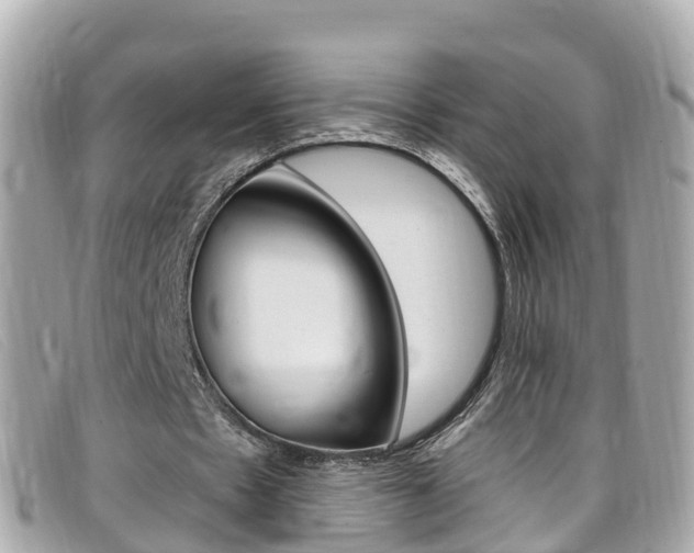 X0000099320481200805020756