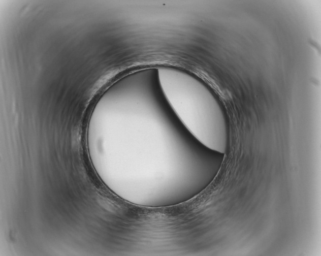 X0000099320483200805020756