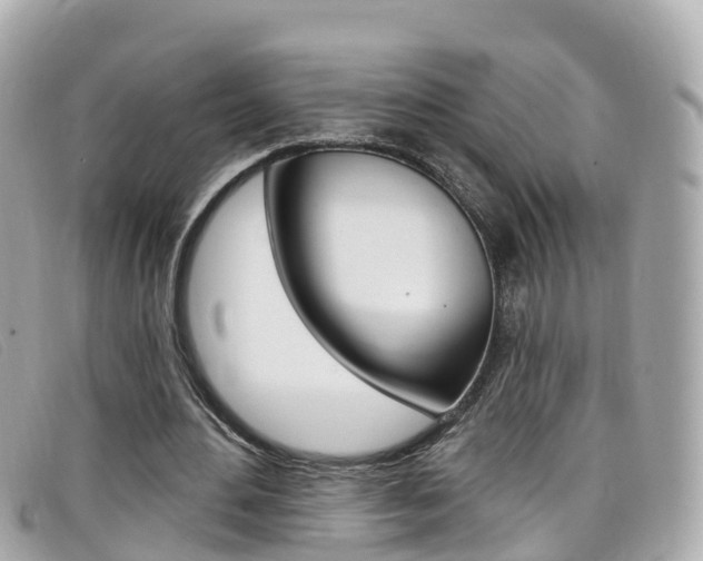 X0000099320484200805020756