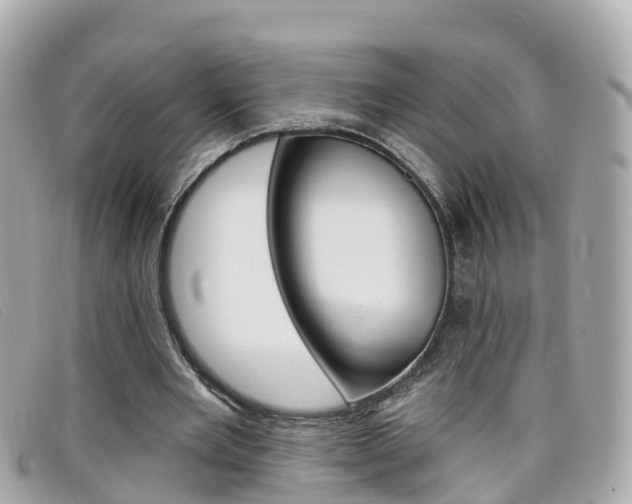 X0000099320485200805020756