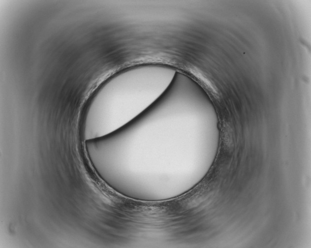 X0000099320486200805020756