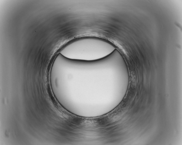 X0000099320487200805020756