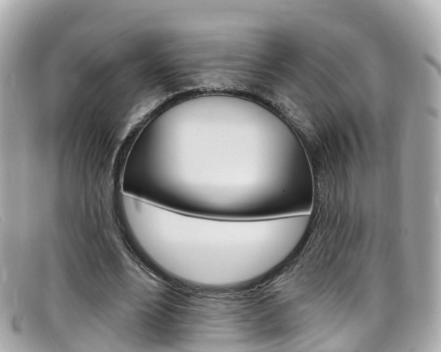 X0000099320488200805020756
