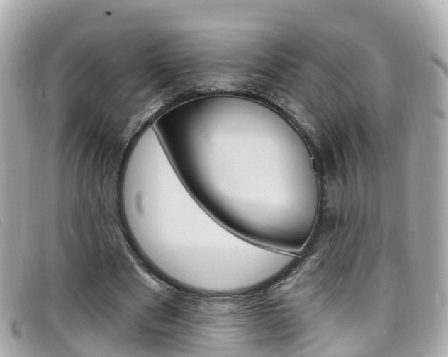 X0000099320489200805020756