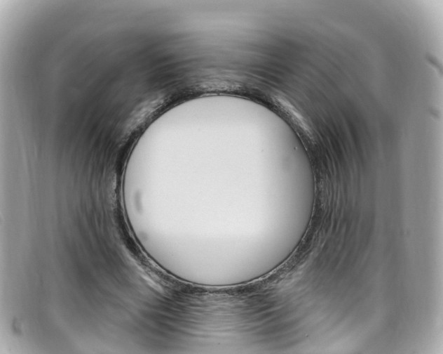 X0000099320490200805020756