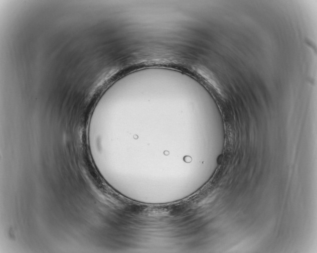 X0000099320491200805020756