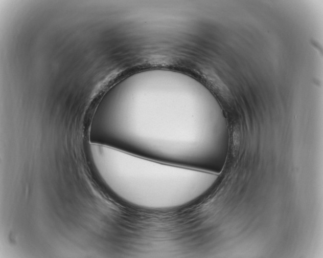 X0000099320492200805020756