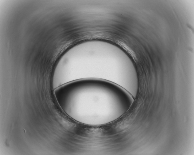X0000099320493200805020756