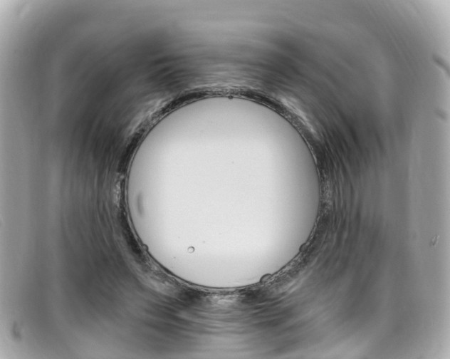 X0000099320495200805020756