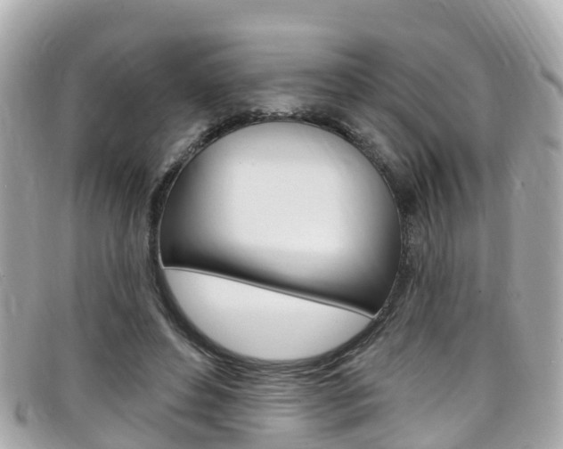 X0000099320496200805020756