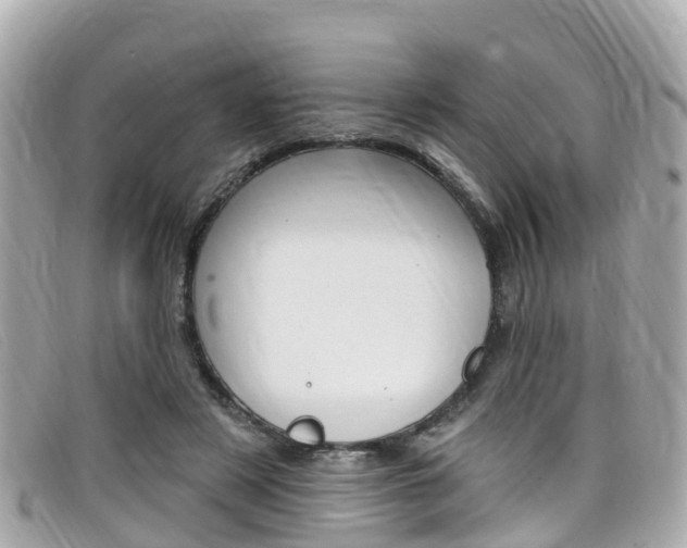 X0000099320497200805020756