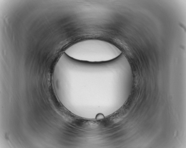 X0000099320498200805020756