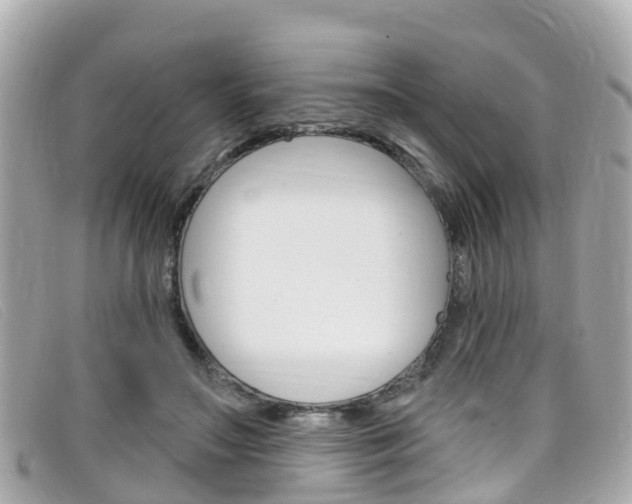 X0000099320499200805020756