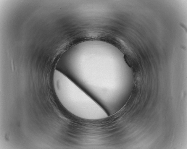 X0000099320500200805020756