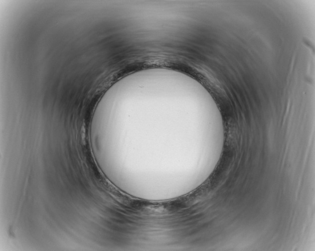 X0000099320502200805020756