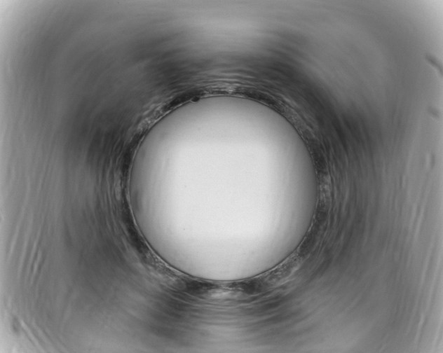 X0000099320504200805020756