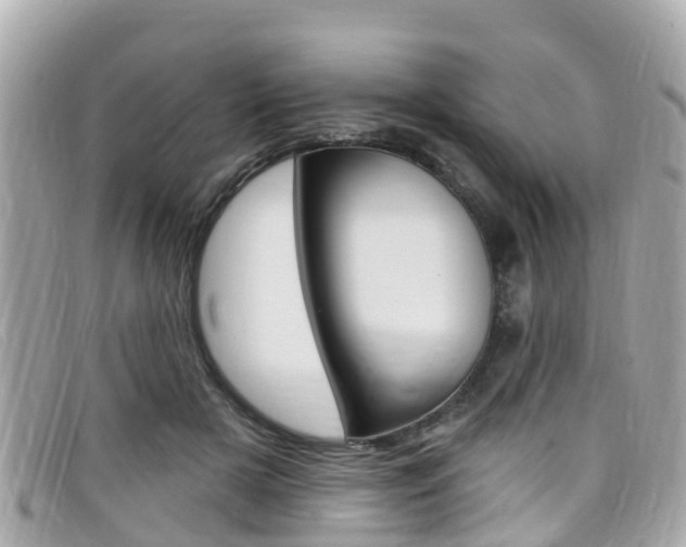 X0000099320505200805020756