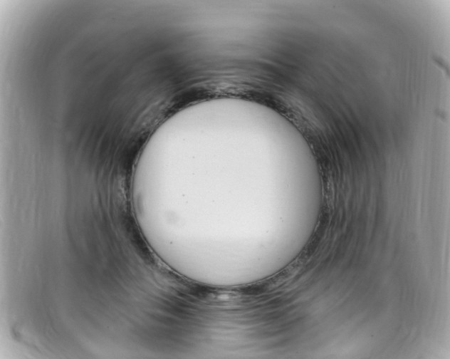 X0000099320506200805020756
