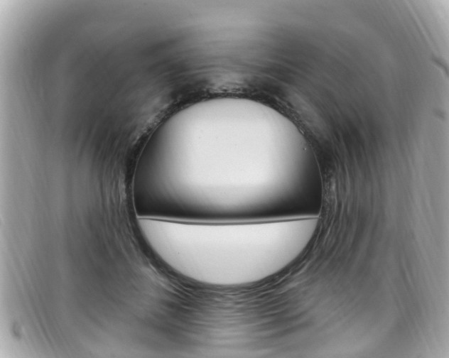 X0000099320508200805020756