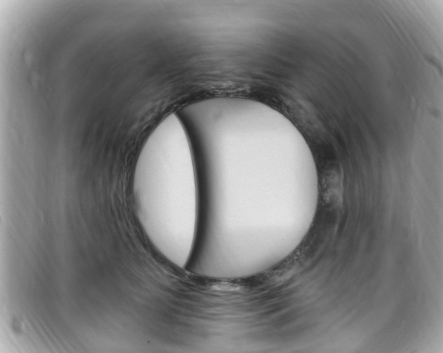 X0000099320515200805020756