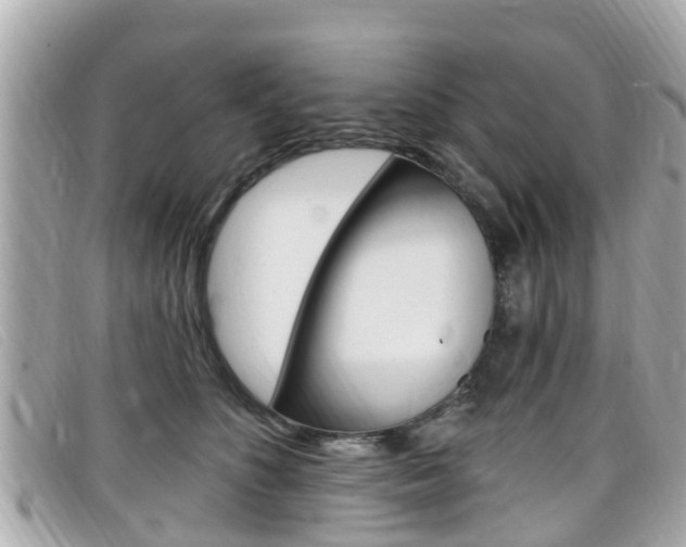 X0000099320516200805020756